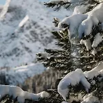 Heimspitze - Alpenhotel Ski-in & Wirtshaus 호텔 4*