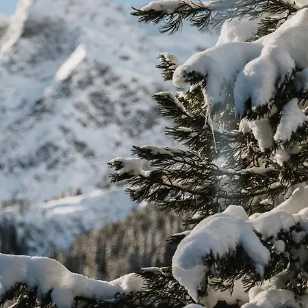 Heimspitze - Alpenhotel & Wirtshaus Szálloda 4*