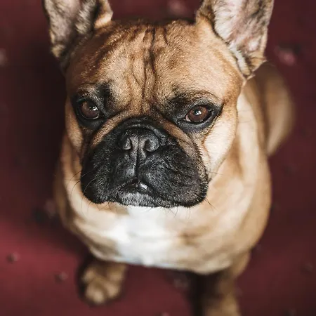 Heimspitze - Alpenhotel&wirtshaus