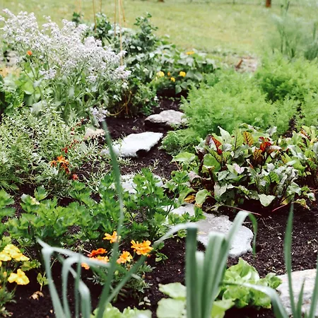 Heimspitze - Alpenhotel&wirtshaus Hotel Gargellen