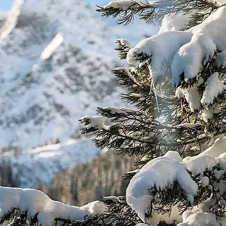 Heimspitze - Alpenhotel Ski-in & Wirtshaus ホテル 4*