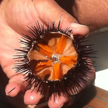 Heimspitze - Alpenhotel&wirtshaus Gargellen