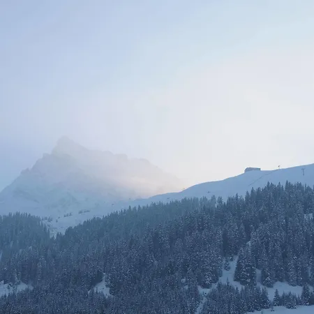 Hotel Heimspitze - Alpenhotel Ski-in & Wirtshaus 4*