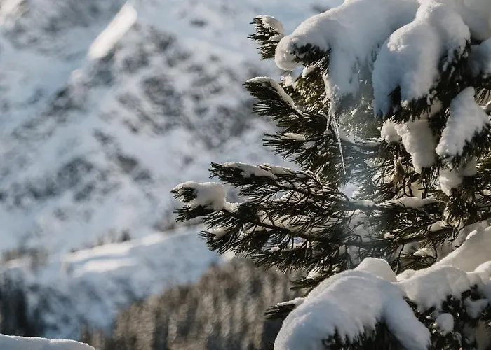 Heimspitze - Alpenhotel Ski-in & Wirtshaus Hotel 4*