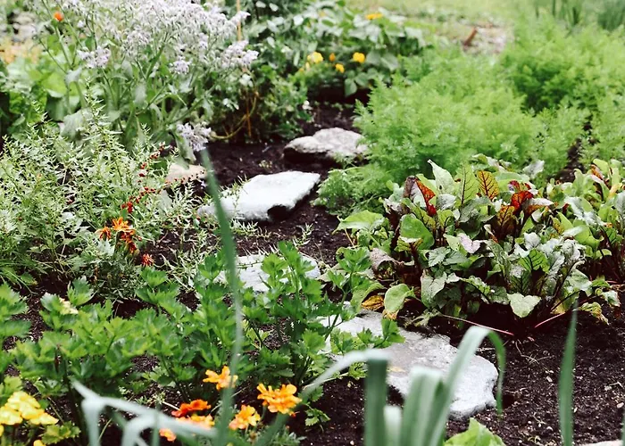 Heimspitze - Alpenhotel&wirtshaus Hotel Gargellen